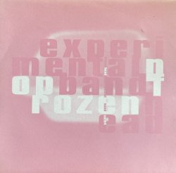 画像1: EXPERIMENTAL POP BAND/FROZEN HEAD