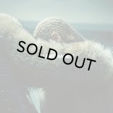 BEYONCE/LEMONADE  (RANDOM COLOUR VINYL)
