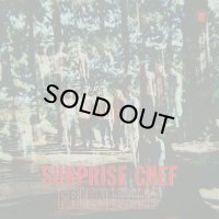 SURPRISE CHEF/FRIENDSHIP EP