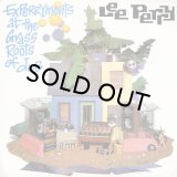 LEE PERRY & MAD PROFESSOR/EXPERRYMENTS AT THE GRASS ROOTS OF DUB