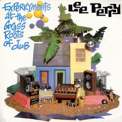 画像1: LEE PERRY & MAD PROFESSOR/EXPERRYMENTS AT THE GRASS ROOTS OF DUB