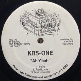 KRS-ONE/AH YEAH