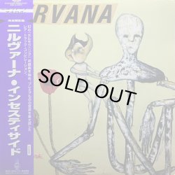 画像1: NIRVANA/INCESTICIDE