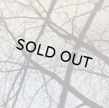 FAZE ACTION/MOVING CITIES