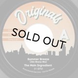 MAIN INGREDIENT / NOTORIOUS BIG / JIM SHARP / SUMMER BREEZE (JIM SHARP MIX)