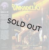 FUNKADELIC/LIVE AT MEADOWBROOK, ROCHESTER, MICHIGAN 12TH SEPTEMBER 1971