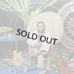 画像1: AL DI MEOLA/CASINO