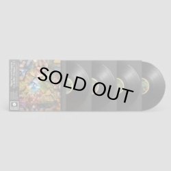 画像1: MIGUEL ATWOOD-FERGUSON/LES JARDINS MYSTIQUES VOL.1