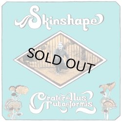 画像1: SKINSHAPE/CRATERELLUS TUBAEFORMIS