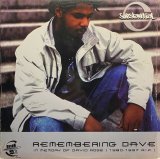 SUBSTANTIAL/REMEMBERING DAVE