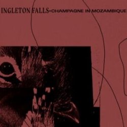 画像1: INGLETON FALLS/CHAMPAGNE IN MOZAMBIQUE