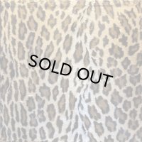 SCOTT BOND/AMSTERDAM BOOGIE