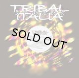 V.A./TRIBAL ITALIA BREAKS PART I