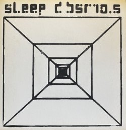 画像1: SLEEP D/SPACE PILLOW