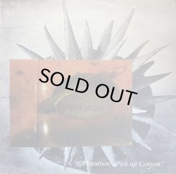 画像1: PLURAMON/PICK UP CANYON