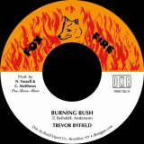 TREVOR BYFIELD/BURNING BUSH