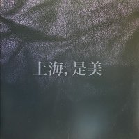 BERNARDINO FEMMINIELLI/SHANGHAI, C'EST BEAU