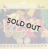 RIDDIM DRIVEN/FIESTA