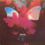 MALENA PEREZ/CHASE THE BUTTERFLIES THE KENNY DOPE REMIXES