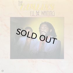 画像1: THE TAMLINS/I'LL BE WAITING