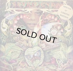 画像1: SPYRO GYRA/MORNING DANCE