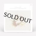 CALM PRESENTS K.F./SHINING OF LIFE FLUTEMENTAL UNRELEASED MIXES