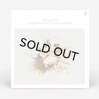 CALM PRESENTS K.F./SHINING OF LIFE FLUTEMENTAL UNRELEASED MIXES