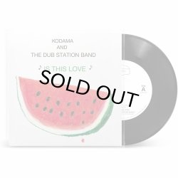 画像1: KODAMA AND THE DUB STATION BAND/IS THIS LOVE