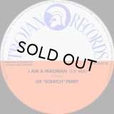 LEE PERRY/I AM A MADMAN