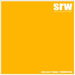 画像1: NEONIOUS MONK/shit:rewet#4”Sinking”