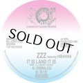 ZZZ FEAT. HIBAHIHI/IT IS LAND IT IS