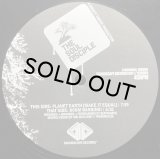 THE SOUL DISCIPLE (BEATFANATIC) / PLANET EARTH