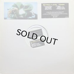 画像1: BOARDS OF CANADA/TWOISM