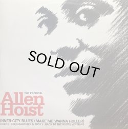画像1: ALLEN HOIST/INNER CITY BLUES