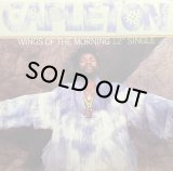 CAPLETON/WINGS OF THE MORNING