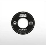 PROJECT GEMINI/AFTER THE DAWN (LARGE PLANTS REMIX) / DARKNESS RISING