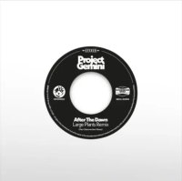 PROJECT GEMINI/AFTER THE DAWN (LARGE PLANTS REMIX) / DARKNESS RISING