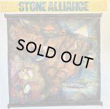 MARCIO MONTARROYOS, STONE ALLIANCE/MARCIO MONTARROYOS / STONE ALLIANCE