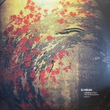 DJ KRUSH/STEPPING STONES THE SELF REMIXED BEST LYRICISM