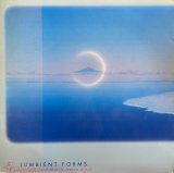 V.A./JUMBIENT FORMS - ARTIFICIAL SOURCES OF TOKYO VOL.2