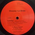 SHAANY LA BREA/FANTASY