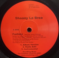 画像1: SHAANY LA BREA/FANTASY