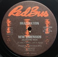IMAGINATION/NEW DIMENSION
