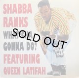 SHABBA RANKS/WHAT'CHA GONNA DO?