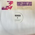 ROY AYERS/DESTINATION MOTHERLAND LIMITED EDITION ALBUM SAMPLER