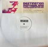 ROY AYERS/DESTINATION MOTHERLAND LIMITED EDITION ALBUM SAMPLER