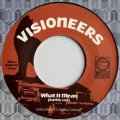 VISIONEERS/WHAT IT MEAN (BATTLE CUT)