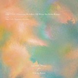 NOBUYUKI NAKAJIMA (中島ノブユキ)/Flamenco Sketches