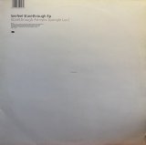 SEEFEEL/STARETHROUGH EP