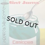 CASIOPEA/MINT JAMS